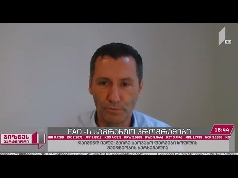 FAO-ს საგრანტო პროგრამები